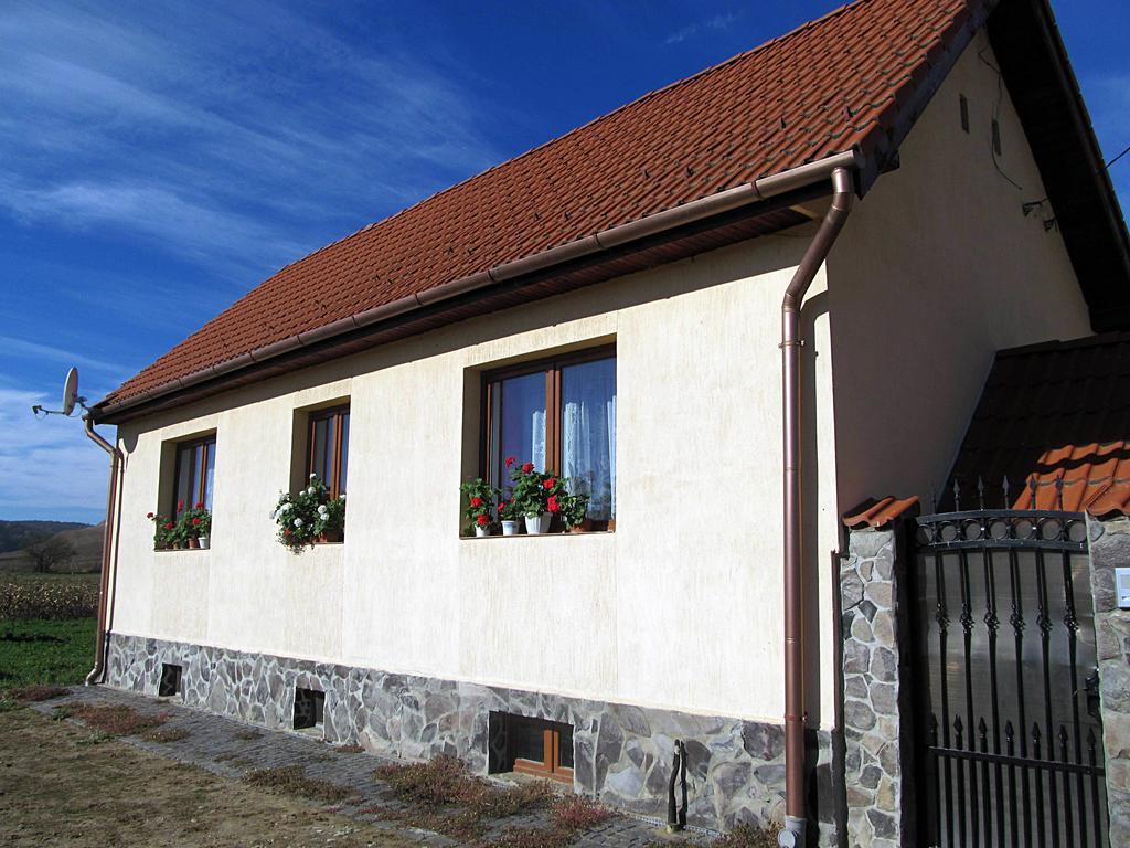 Vila Casa Simion Sibiu Exteriér fotografie